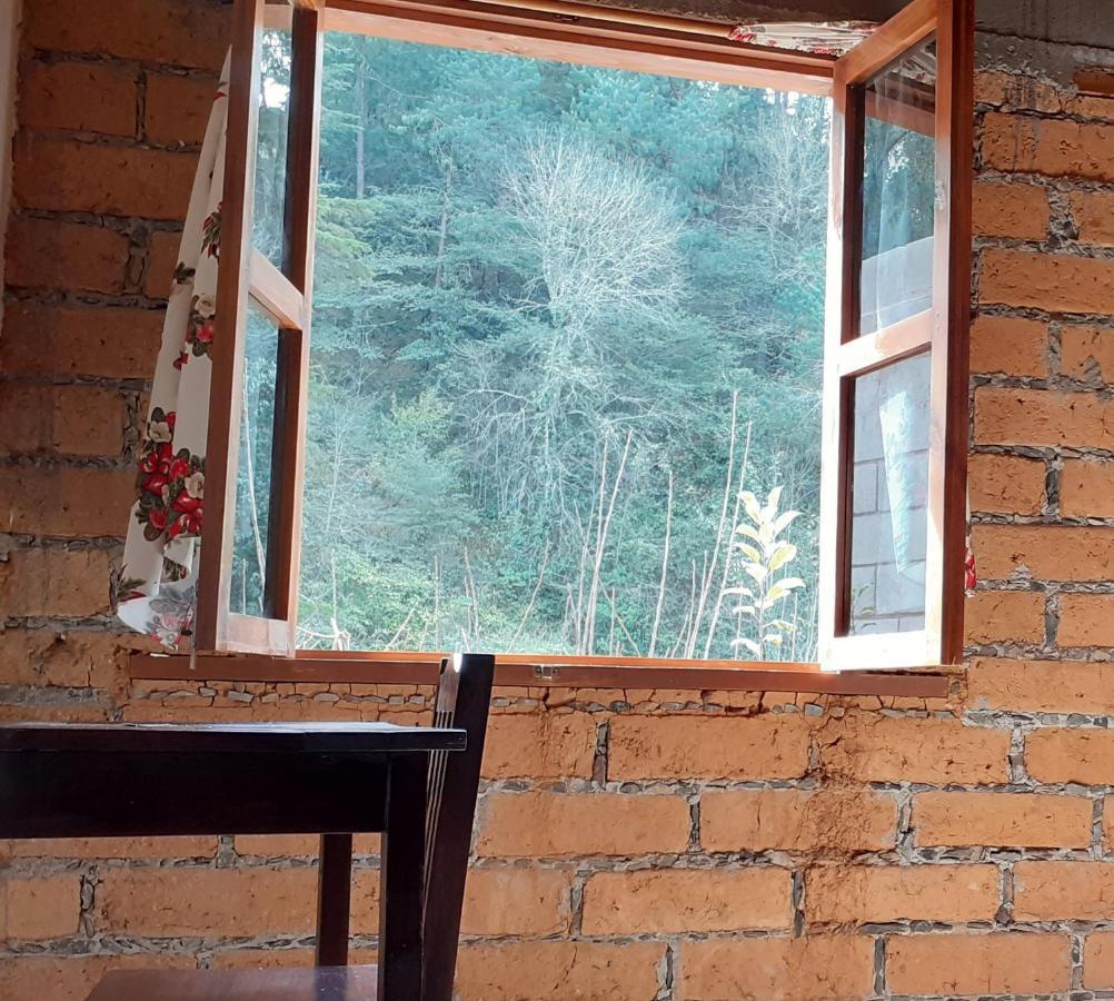 Habitacion Cabana Huapango #4 ピナル・デ・アモレス エクステリア 写真